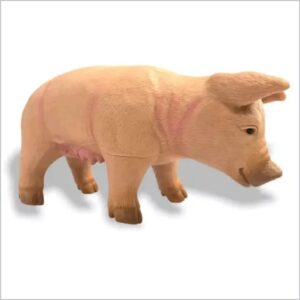 Porco Animais da fazenda